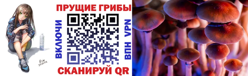 Галлюциногенные грибы прущие грибы Тогучин
